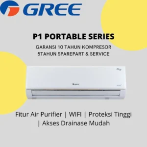 Gree P1 Portable Series