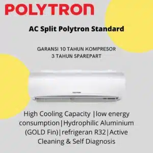 AC Split Polytron Standart