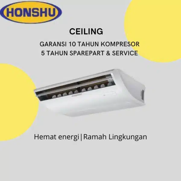 Honshu Ceiling